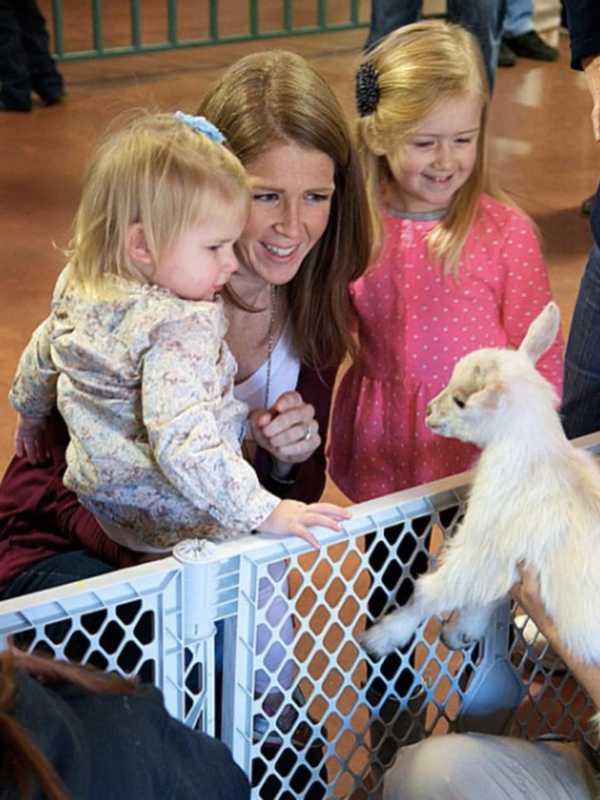 Teens To Keep Up Conservation Work At Beardsley Zoo Thanks To $10K Grant