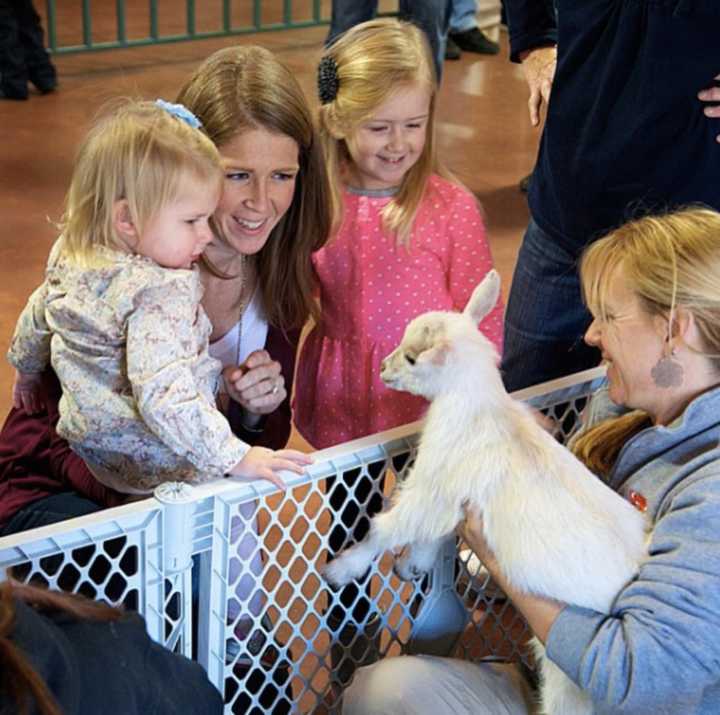 Thousands visit Beardsley Zoo in Bridgeport each year.