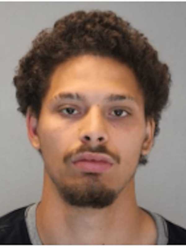 Nanuet 22-Year-Old Steals Two Cars, Police Say