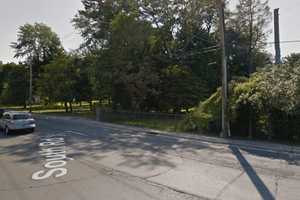Car Slams Into Pole, Bursts Into Flames In Arlington