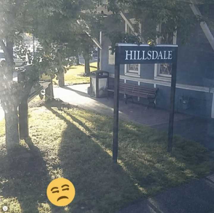 A passenger snapped this photo after her train broke down in Hillsdale.