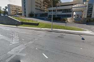 11-Year-Old Girl Attacked By Two Dogs While On Way To School In Yonkers