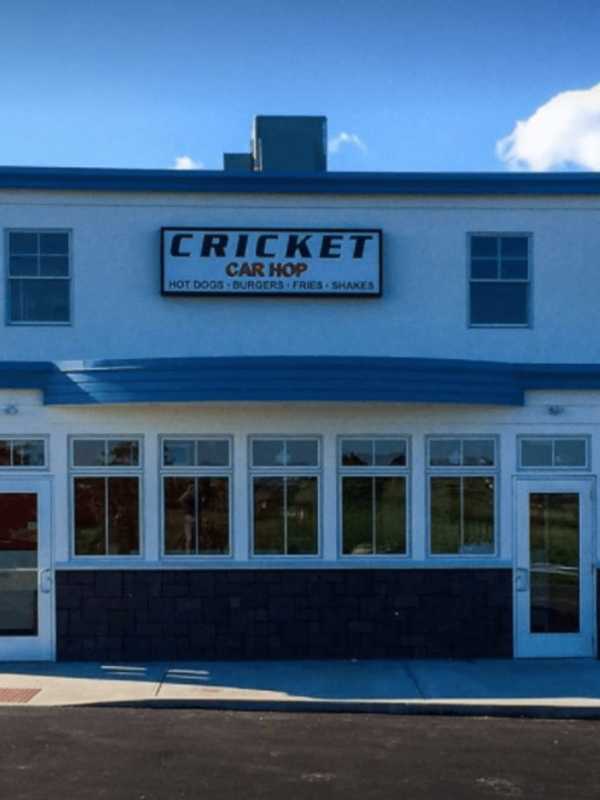 Hot Dog Hounds Rejoice: Cricket Car Hop Opens In Stratford