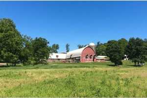 Dutchess Contributes $118K To Preserve 170-Acre Pleasant Valley Farm