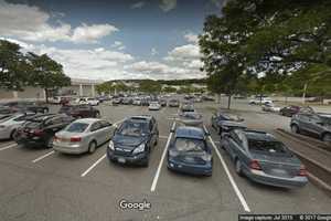 Woman Fails To Pay Fine For Leaving Dog In Hot Car, Yorktown Police Say