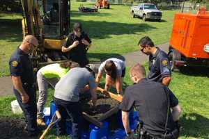 Greenwich Police Dredge Pond At Binney Park For Clues In Human Remains Case