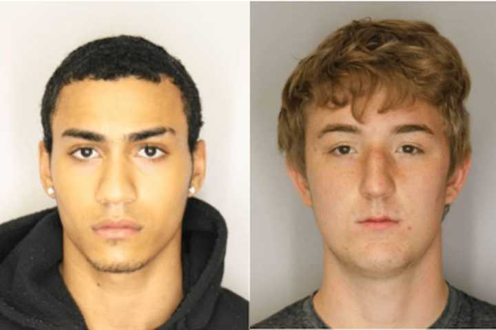 Two Teens Charged After Rash Of Vehicle Break-Ins In Hyde Park