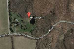 ID Released For Man Killed While Cutting Down Tree In Dutchess