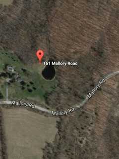 Man Killed While Cutting Down Tree Tops Week's Dutchess News