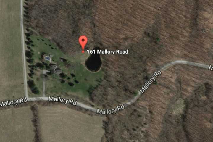 ID Released For Man Killed While Cutting Down Tree In Dutchess