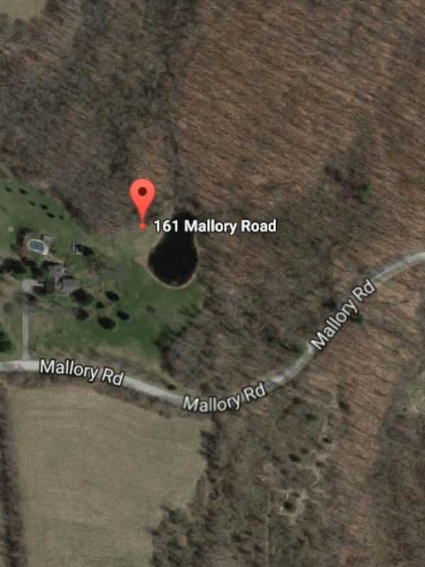 Man Killed While Cutting Down Tree Tops Week's Dutchess News