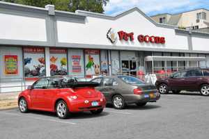 Driver Injured After Lexus Crashes Into Pet Shop In Scarsdale