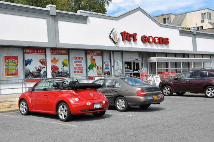 Driver Injured After Lexus Crashes Into Pet Shop In Scarsdale
