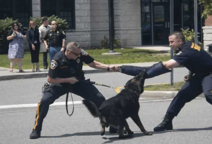 Bergen County Sheriffs Officers hold a demonstration with a K-9 officer in Englewood.