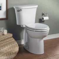 Upgrade Your Toilet With New 'Comfort-Height' Fixture Options