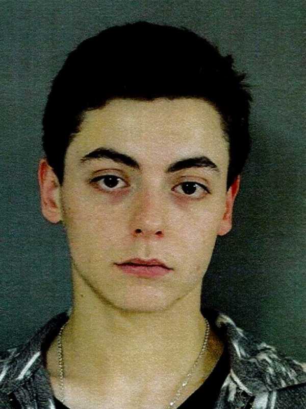 Cops: New Canaan Teen Arrested After Female Yells For Help At Train Station