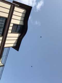 Fighter Jets Spotted In Low 'Flyover' In Skies Above Fairfield County