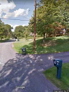 Woman Who Flees Domestic Dispute Charged With DWI In Mahopac Falls