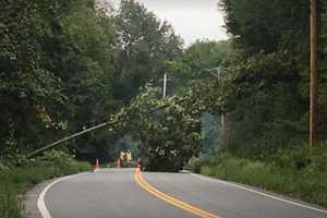 Gusty Winds Knock Out Power To Nearly 2,000 In Hudson Valley