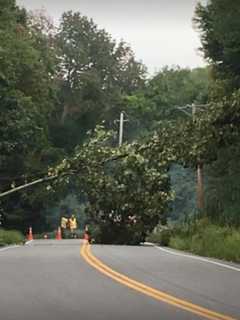 Downed Tree, Wires Cause Route 138 Closure