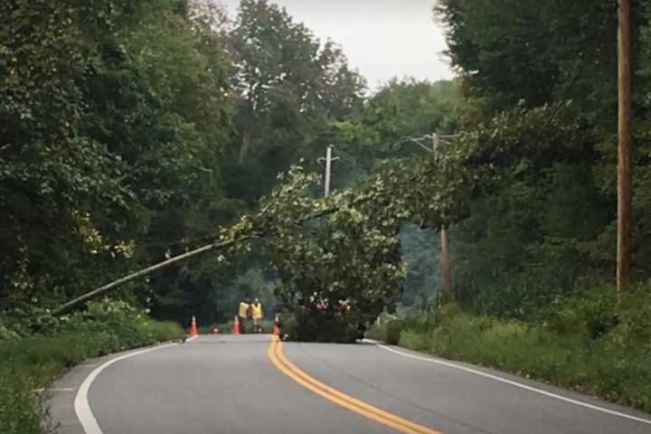 Gusty Winds Knock Out Power To Nearly 2,000 In Hudson Valley