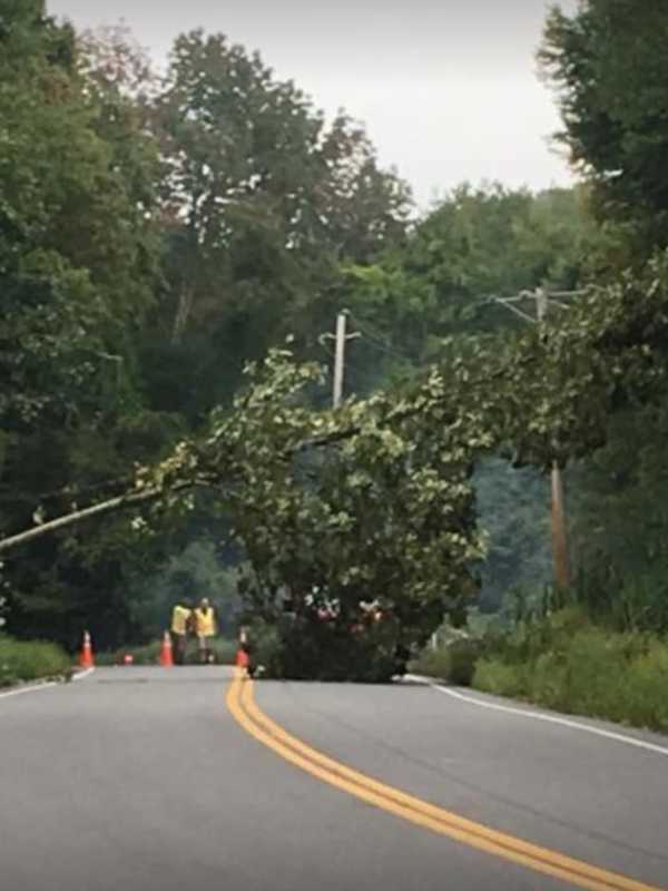 Downed Tree, Wires Cause Route 138 Closure