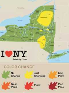 True Colors: 'Very Good' Fall Foliage Season In Store For Westchester