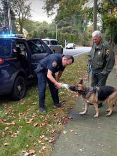Lost Dog Reunited With Owner In Westport