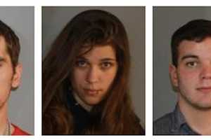 Trio Charged After Amenia Burglary Investigation