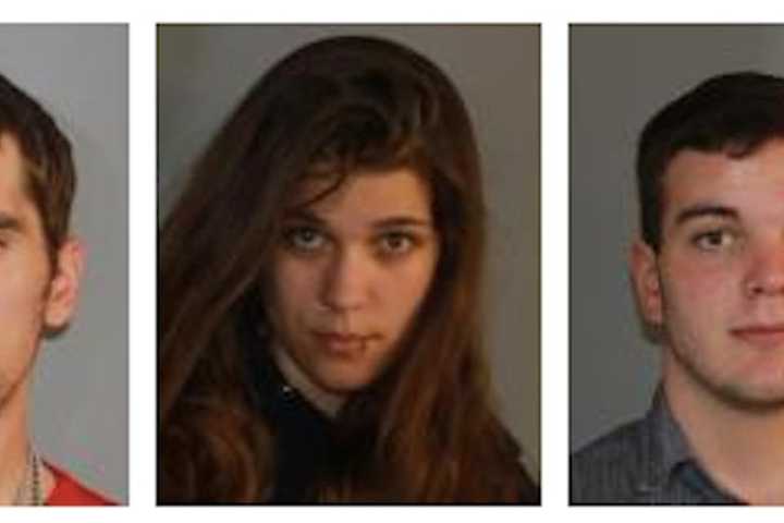 Trio Charged After Amenia Burglary Investigation