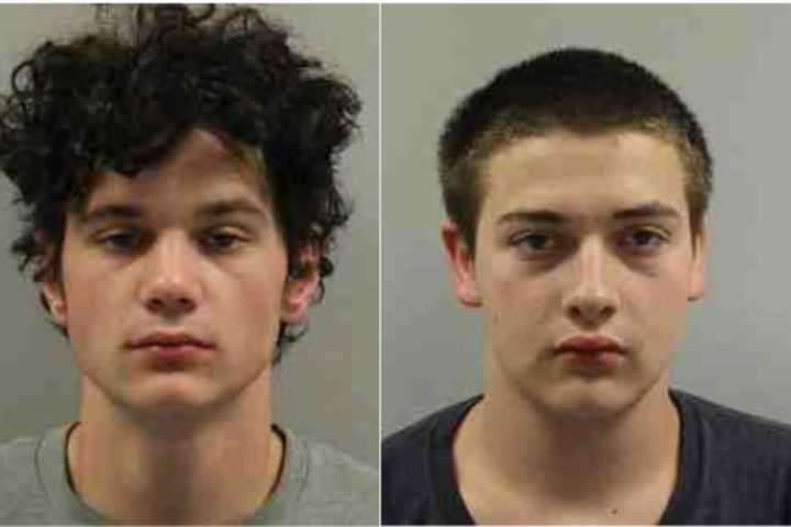 Teens Caught In Woods After Manhunt, String Of Thefts, Putnam Sheriff Says