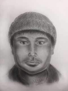 Police Release Sketch Of White Plains Sex Assault 'Person Of Interest'