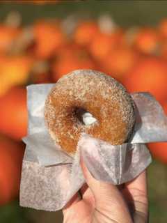 National Apple Cider Day = Apple Cider Doughnuts From A Westchester Farm