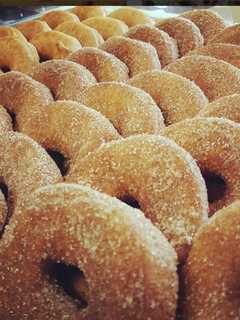 National Apple Cider Day = Apple Cider Doughnuts From A Bergen Farm