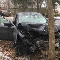 <p>Car vs. tree</p>