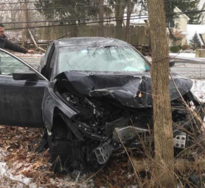 Car vs. tree