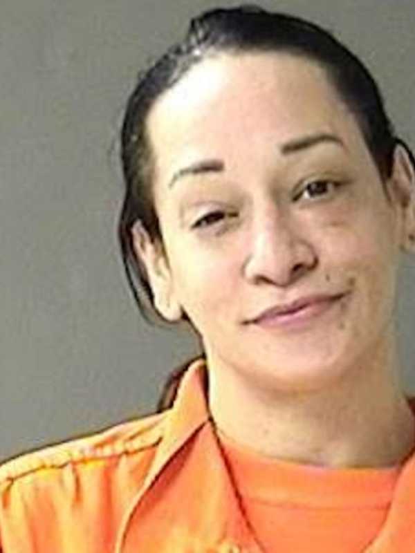 High Falls Woman Charged In Domestic Dispute Stabbing