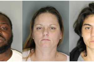 'Felony Lane' Gang Members Nabbed In Town of Poughkeepsie