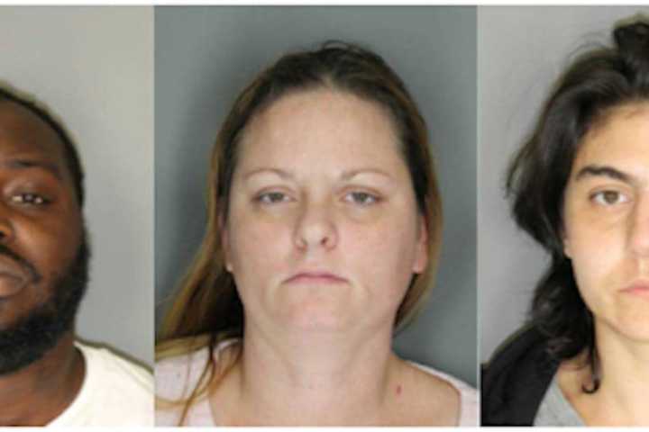 'Felony Lane' Gang Members Nabbed In Town of Poughkeepsie