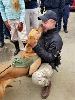 Safe And Sound: Connecticut State Police Thankful After K9 Texas Is Found