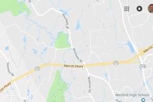 Driver, 25, Killed When Tree Falls On Car On Merritt Parkway