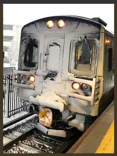 Update: Metro-North Suspends Service On All Three Lines Due To Downed Trees