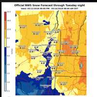 <p>Snowfall projections for Dutchess County and points north and east.</p>