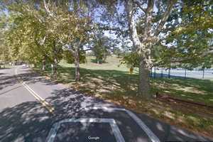 Man Killed After Crashing Into Tree At Park In Fairfield County, Police Say