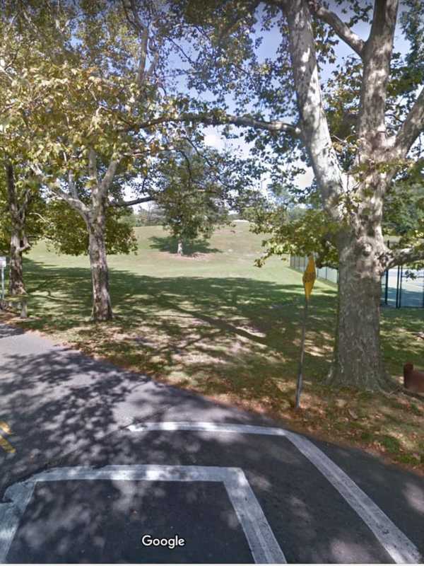 Woman Walking Dog Discovers Dead Body Near Stamford Softball Field