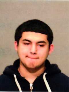 Hudson Valley Teen Arrested For Dragging Dog With Car