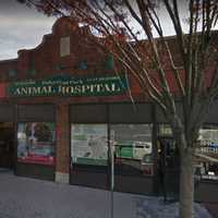 <p>The Ridgefield Park Animal Hospital</p>