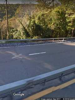 Bear, Cub Found Dead On Taconic State Parkway