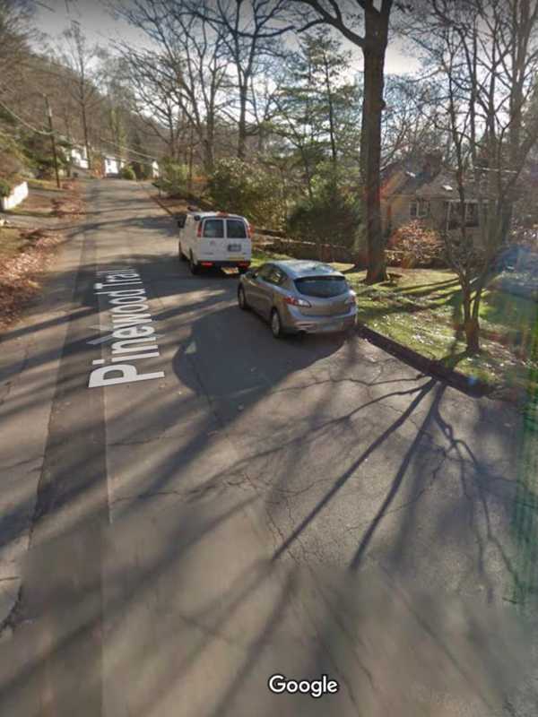 Worker Dies After Falling From Tree In Fairfield County