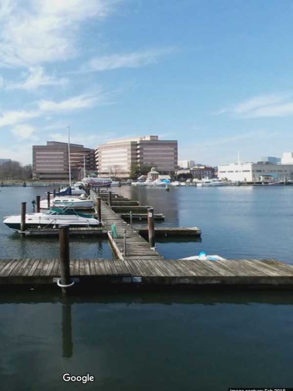 Drowned, Tortured Dog Found In Stamford Marina